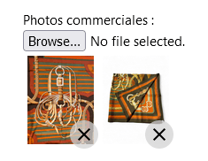 photo1.png